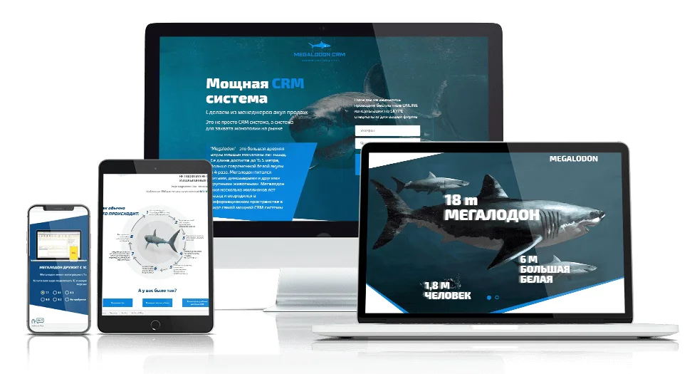 Разработку сайта CRM системы Megalodon — изображение проекта