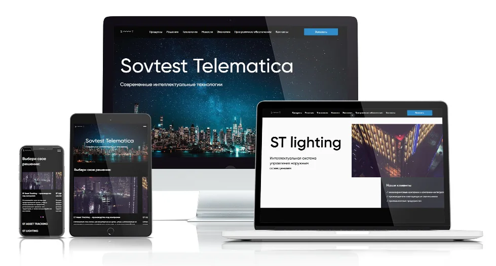 Разработку корпоративного сайта компании Sovtest Telematica — изображение проекта