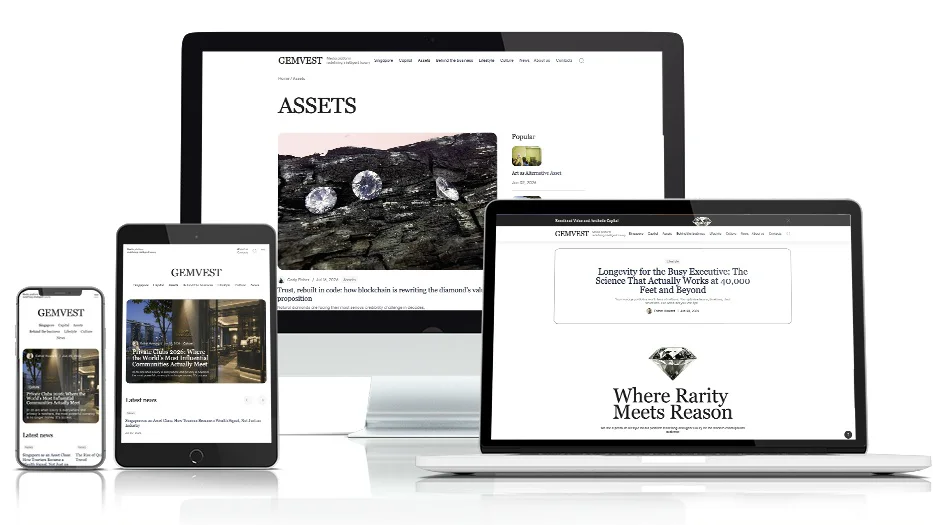 Премиальный блог Gemvest — экран проекта